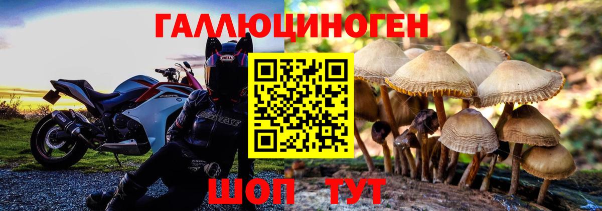 Семилуки  Галлюциногенные грибы GOLDEN TEACHER  Псилоцибиновые грибы мицелий  Вход с VPN 